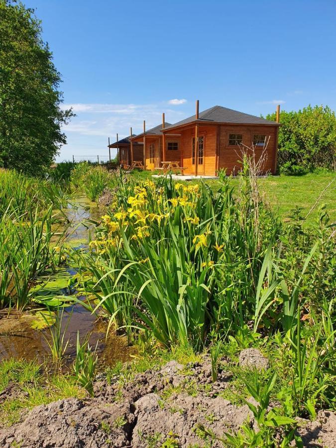 Ter Aar Camping De Oude Rijn מראה חיצוני תמונה
